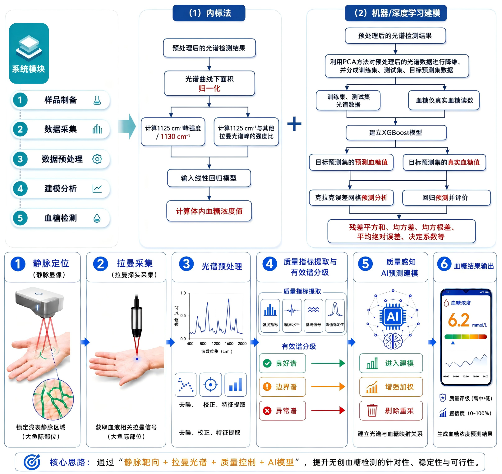 静脉靶向共聚焦拉曼无创血糖监测全流程与检测流程图